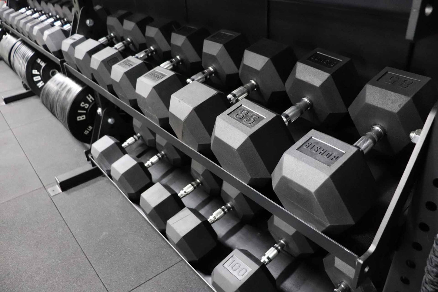 Bishop Rubber Hex Dumbbells