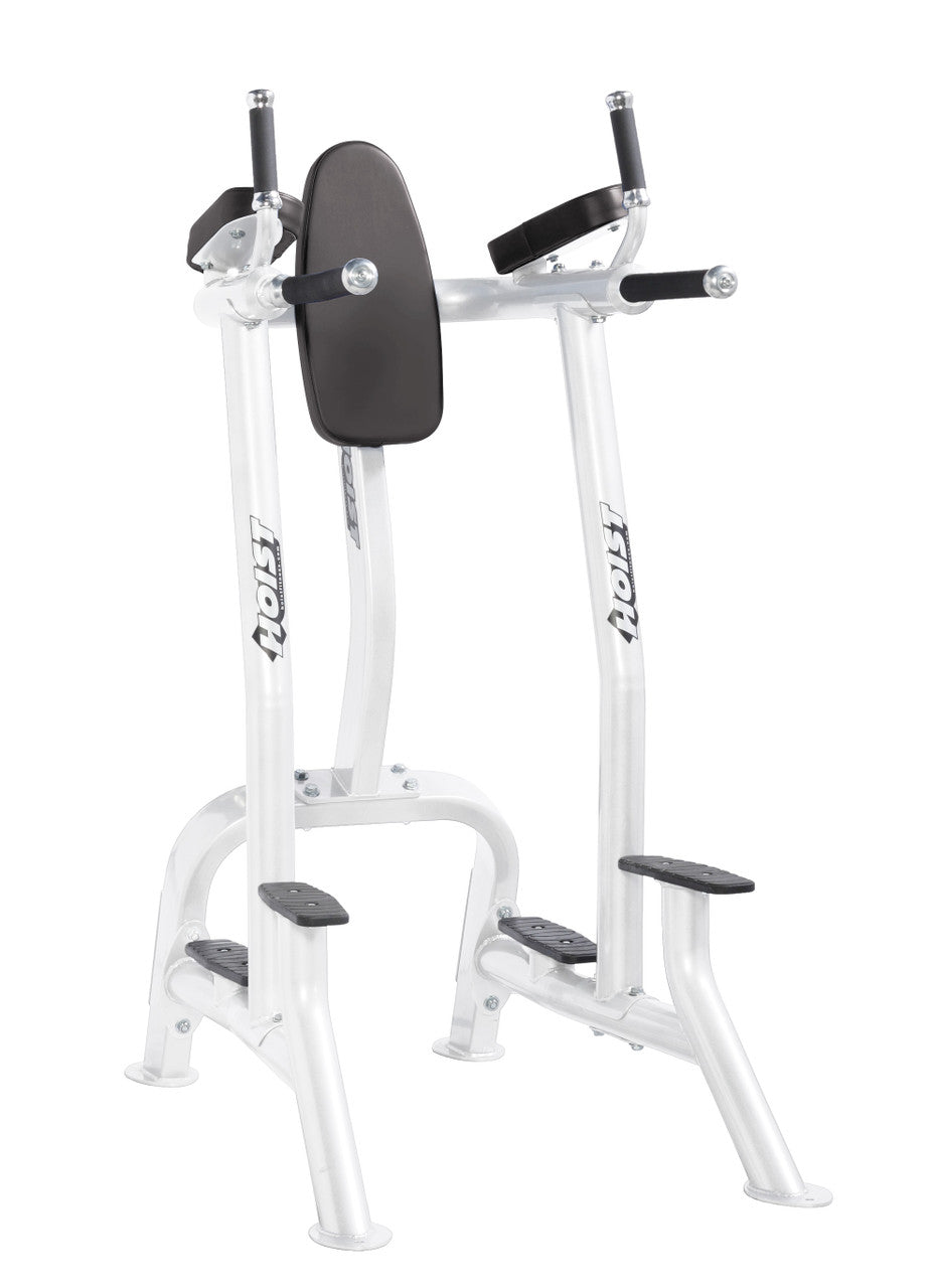 Hoist Fitness CF 3252 Commercial Vertical Knee Raise Dip