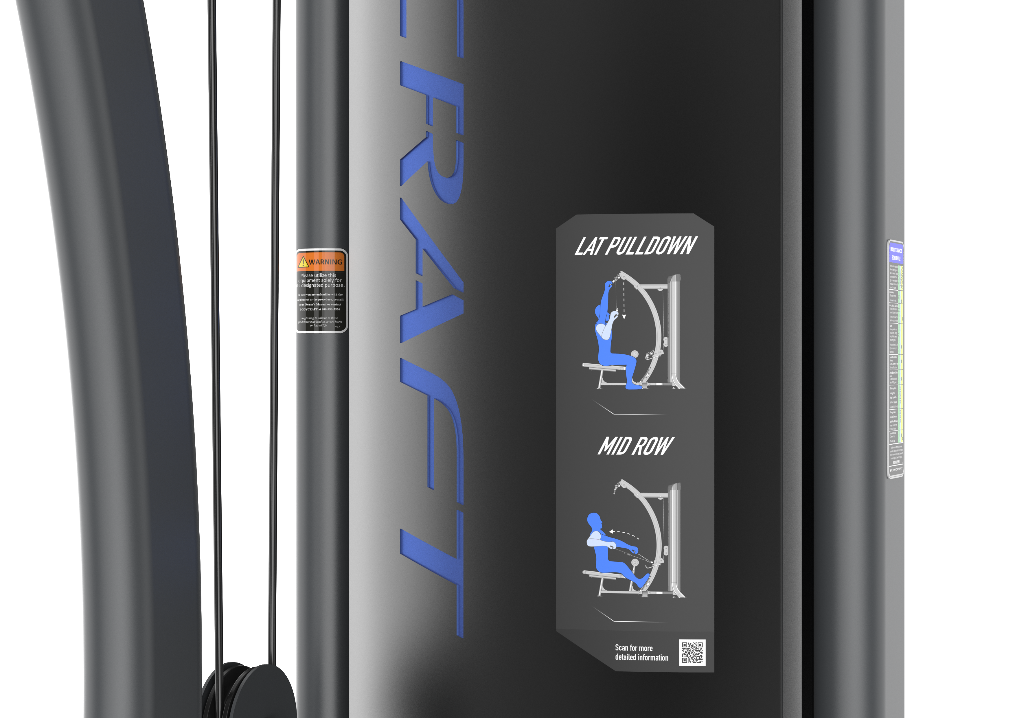 Lat Pulldown & Low Row