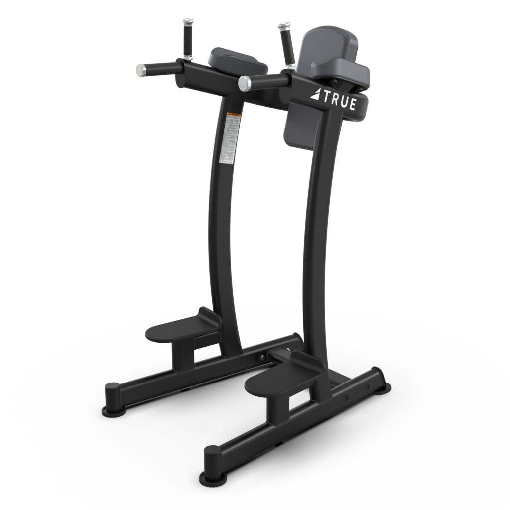 XFW-6400 Vertical Knee Raise/Dip