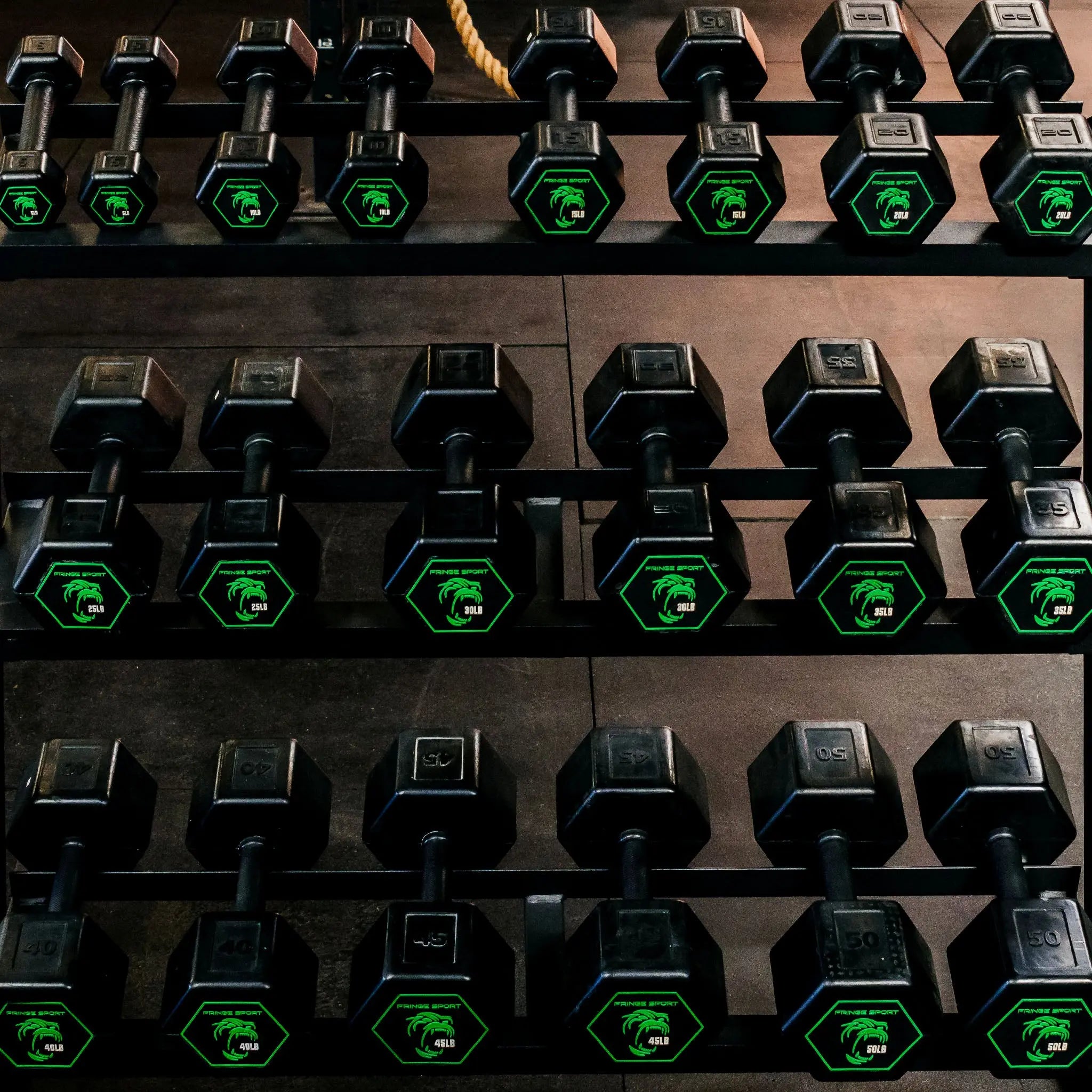 Silverback Rubber Coated Dumbbells