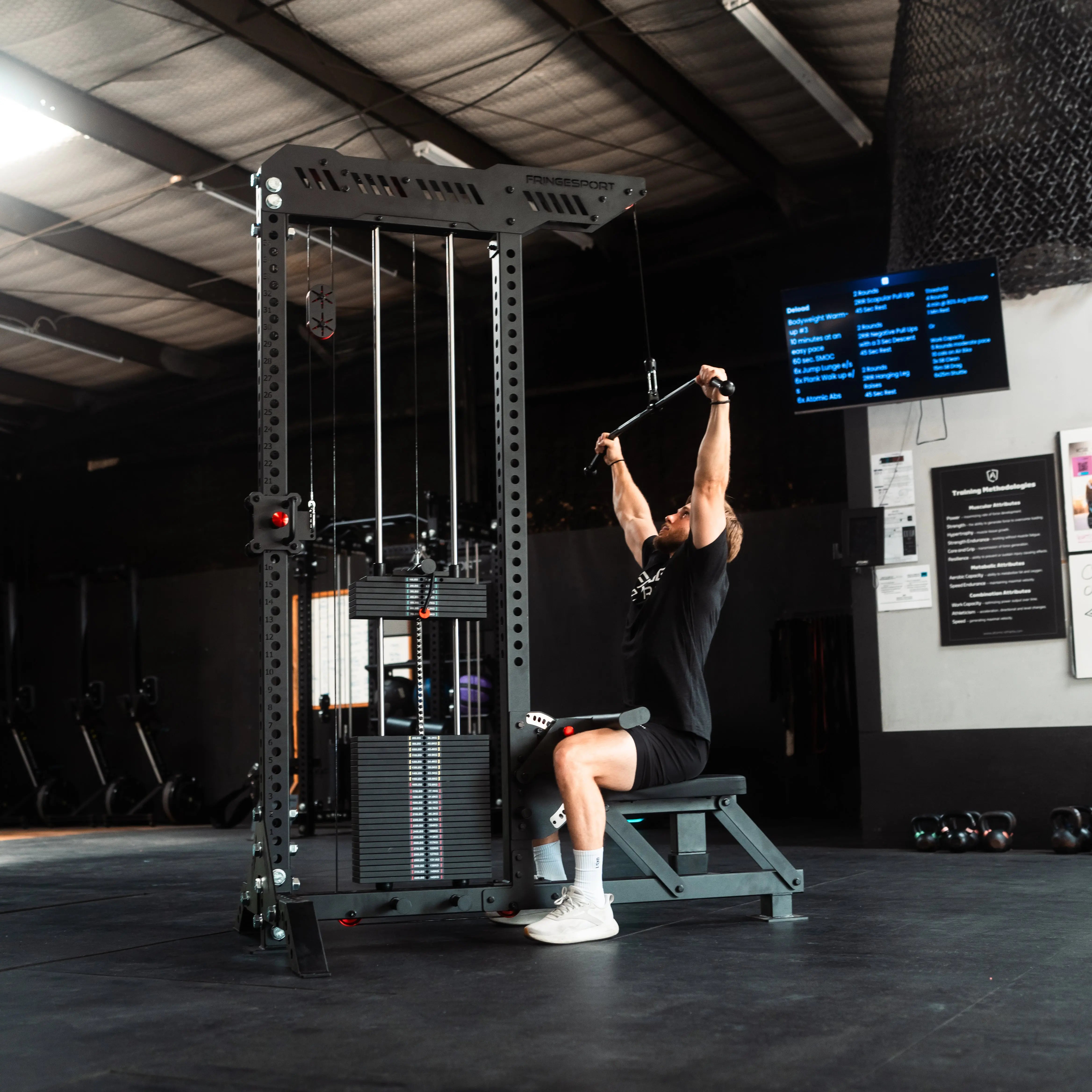 The Walrus: Single Tower Low Row & Lat Pulldown