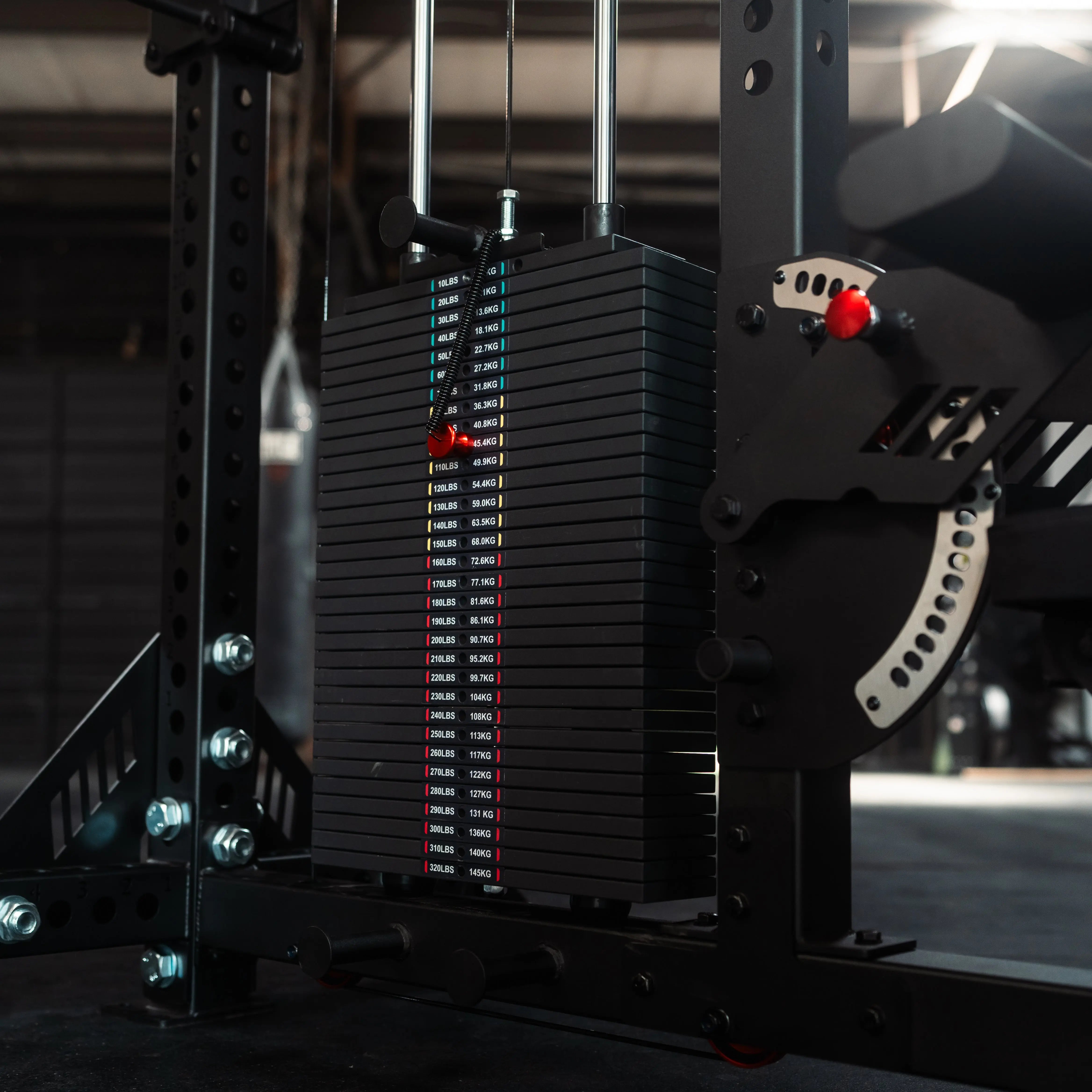 The Walrus: Single Tower Low Row & Lat Pulldown