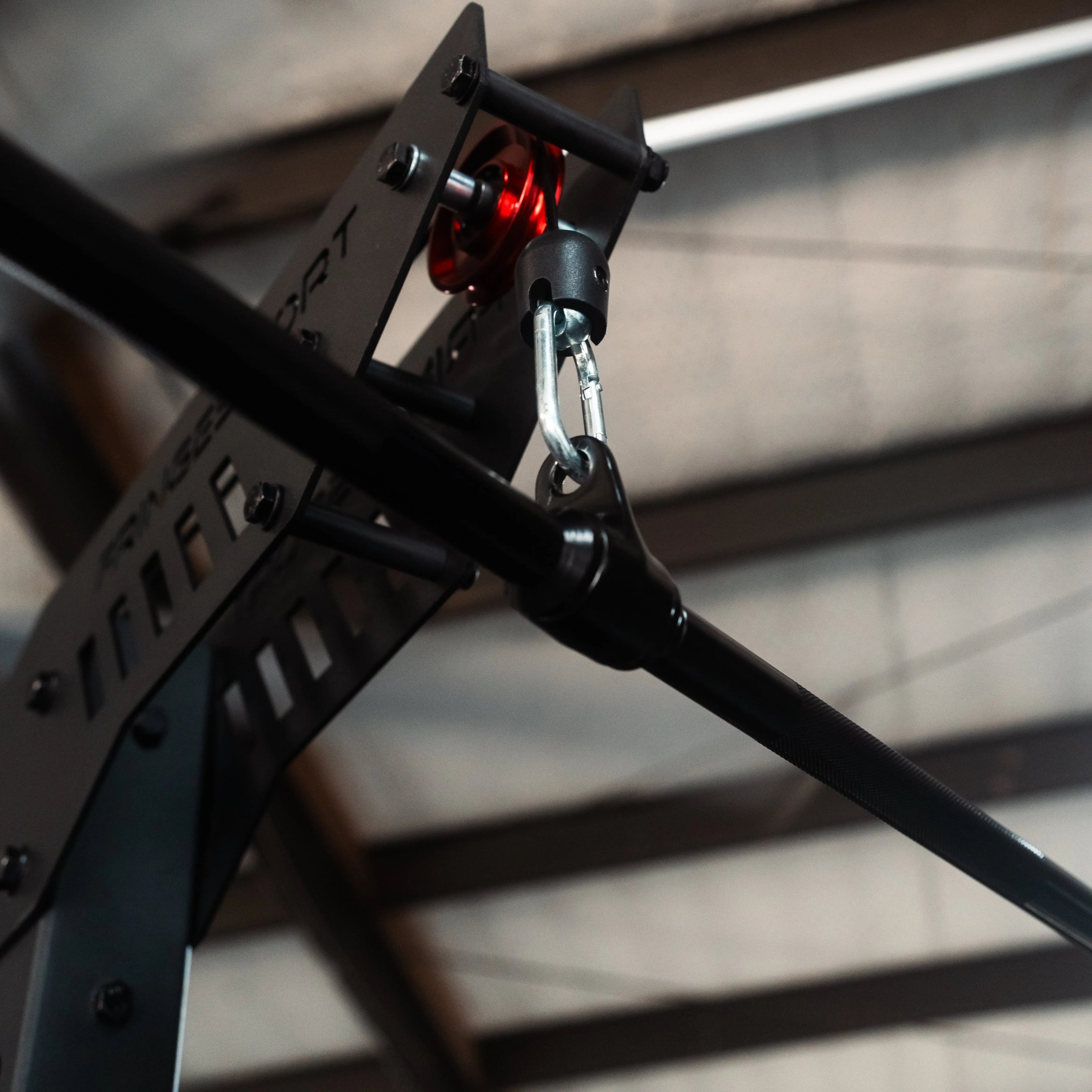 The Walrus: Single Tower Low Row & Lat Pulldown