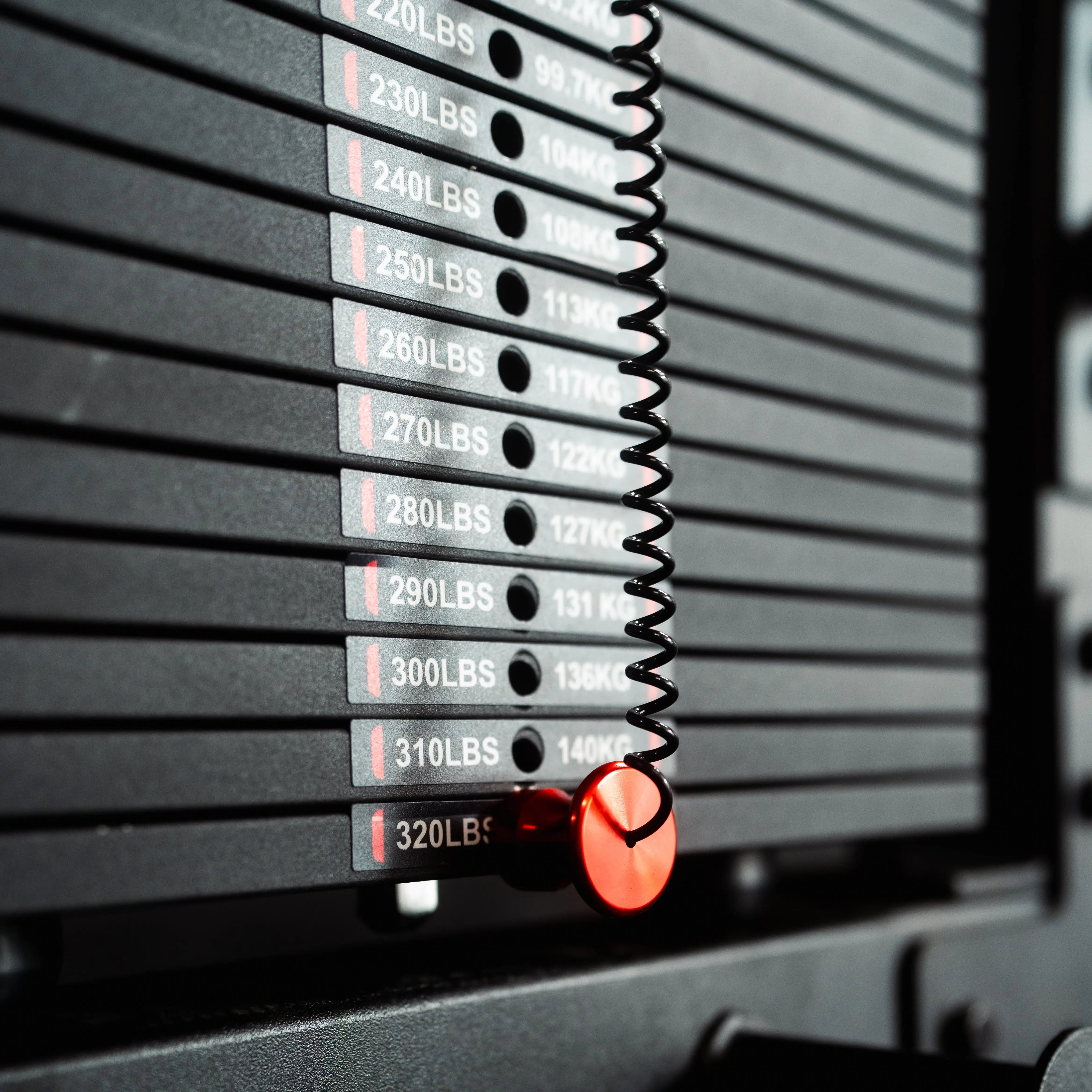 The Walrus: Single Tower Low Row & Lat Pulldown