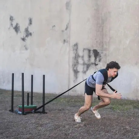 Universal Sled Harness