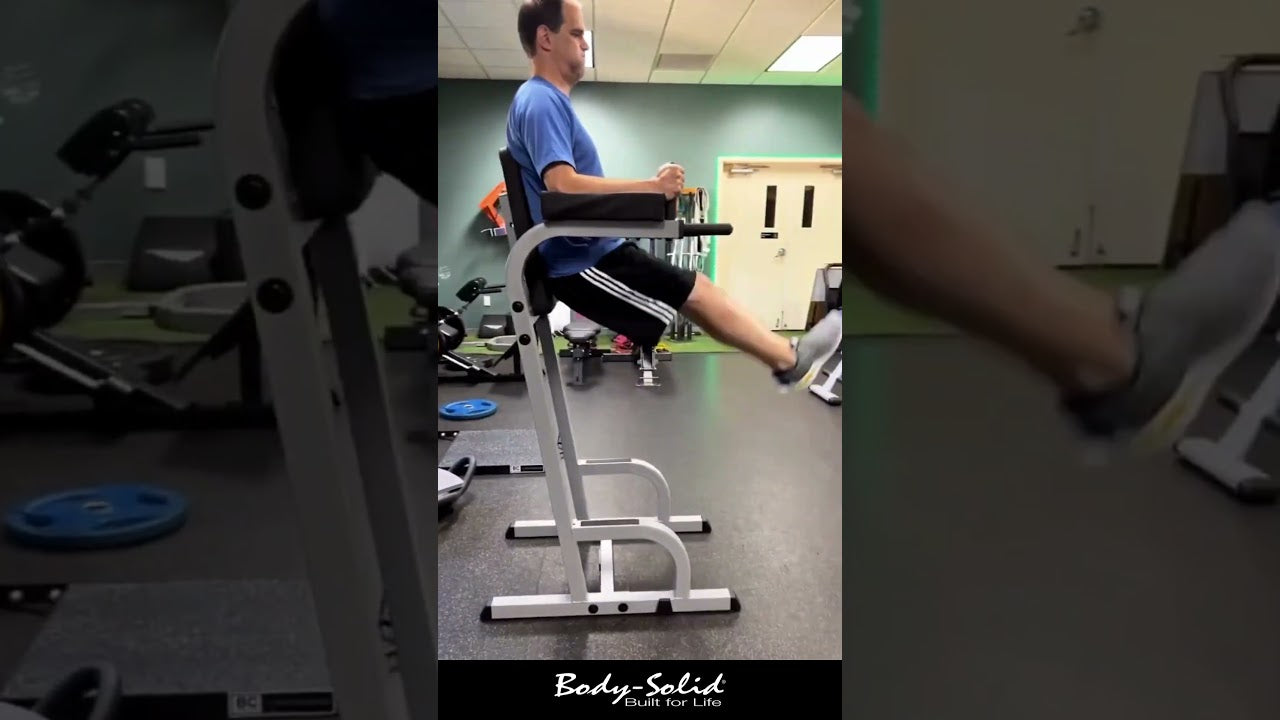 Body-Solid Vertical Knee Raise & Dip