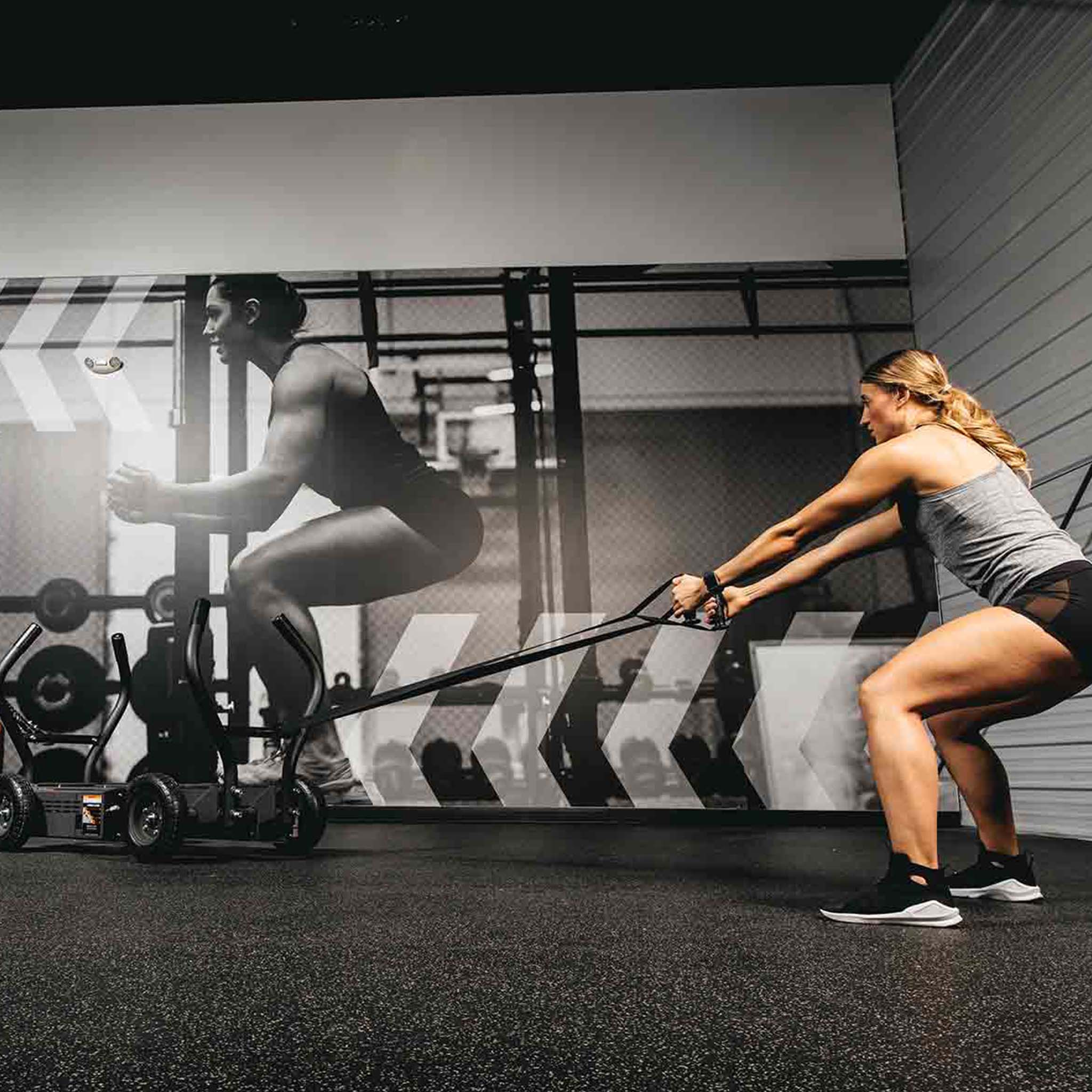 TANK® M4 GT – Team Trainer