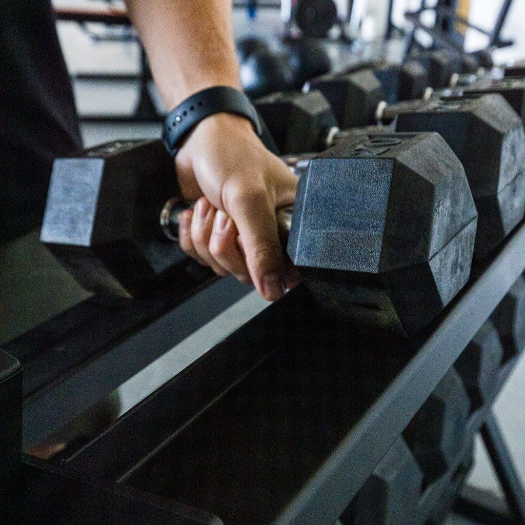 Detail of the tiered shelves on the PRx dumbbell rack