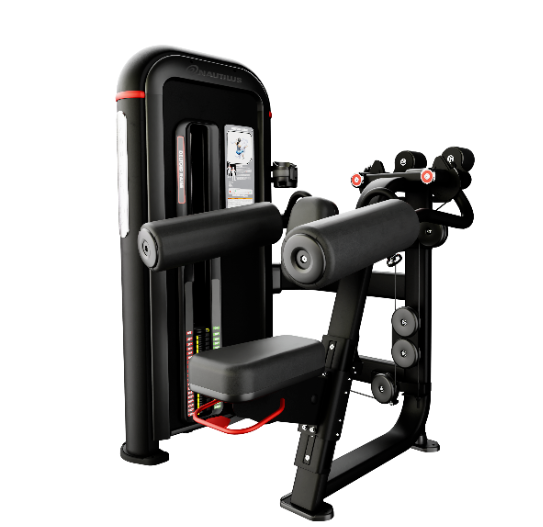 ノーチラスインスピレーションデルトイドレイズ