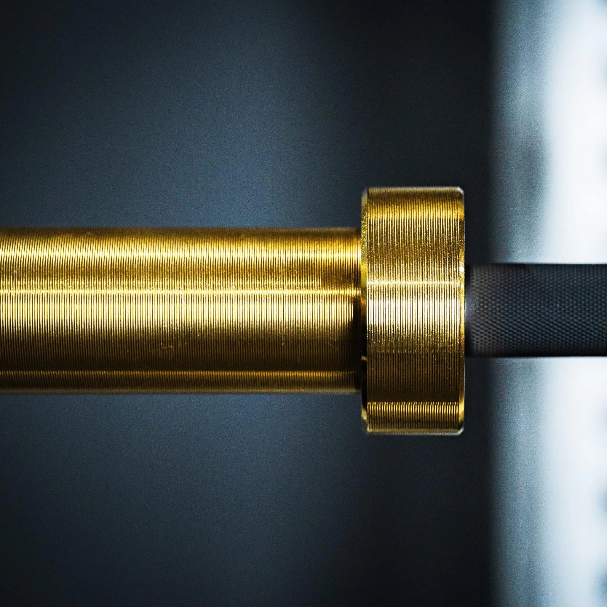 20kg Midas Revenge Bar