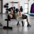PRx Anchor Weight Bench knurled handle and bumper plate detail