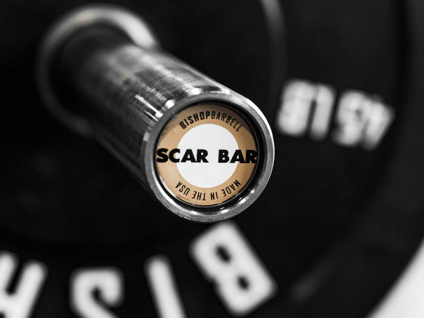 Scar Bar USA