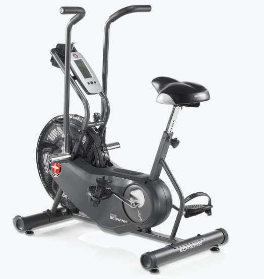 Schwinn AD6 Airdyne