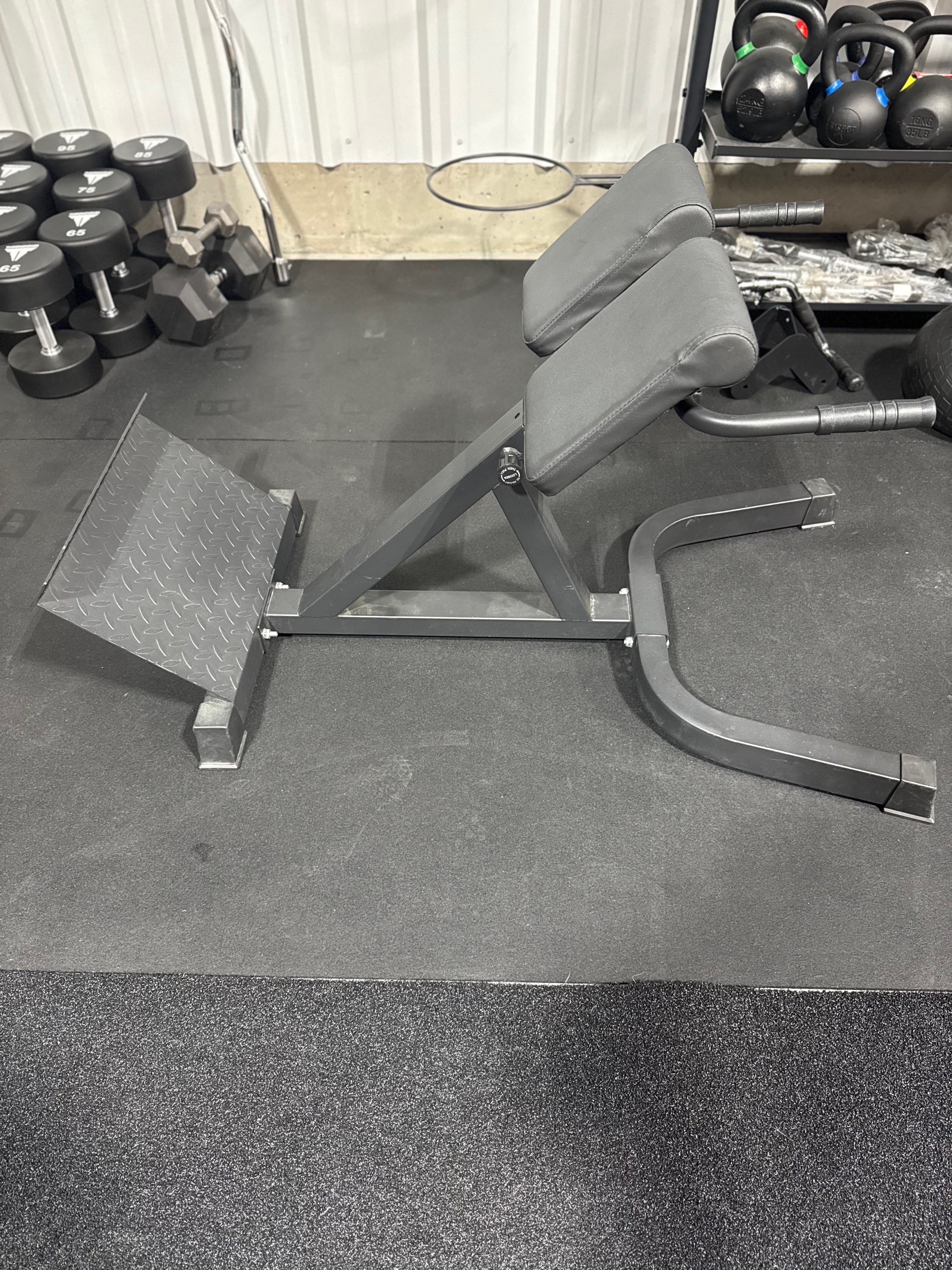 Used Titan Roman Chair Back Hyperextension