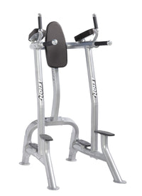 Hoist Fitness CF 3252 Commercial Vertical Knee Raise Dip
