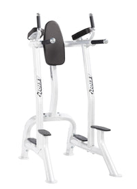 Hoist Fitness CF 3252 Commercial Vertical Knee Raise Dip