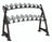 Hoist Fitness CF 3462-2 Commercial (2) Tier Horizontal Beauty Dumbbell Rack