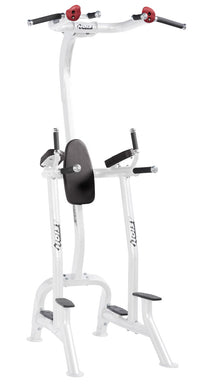 Hoist Fitness CF 3962 Commercial Fitness Tree / Vertical Knee Raise