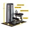 Body-Solid ProDual Ab Back Machine with Weight Stack