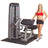 Body-Solid ProDual Biceps Triceps Machine with Weight Stack