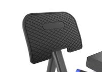 Leg Press & Calf Raise