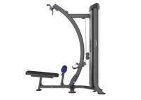 Lat Pulldown & Low Row