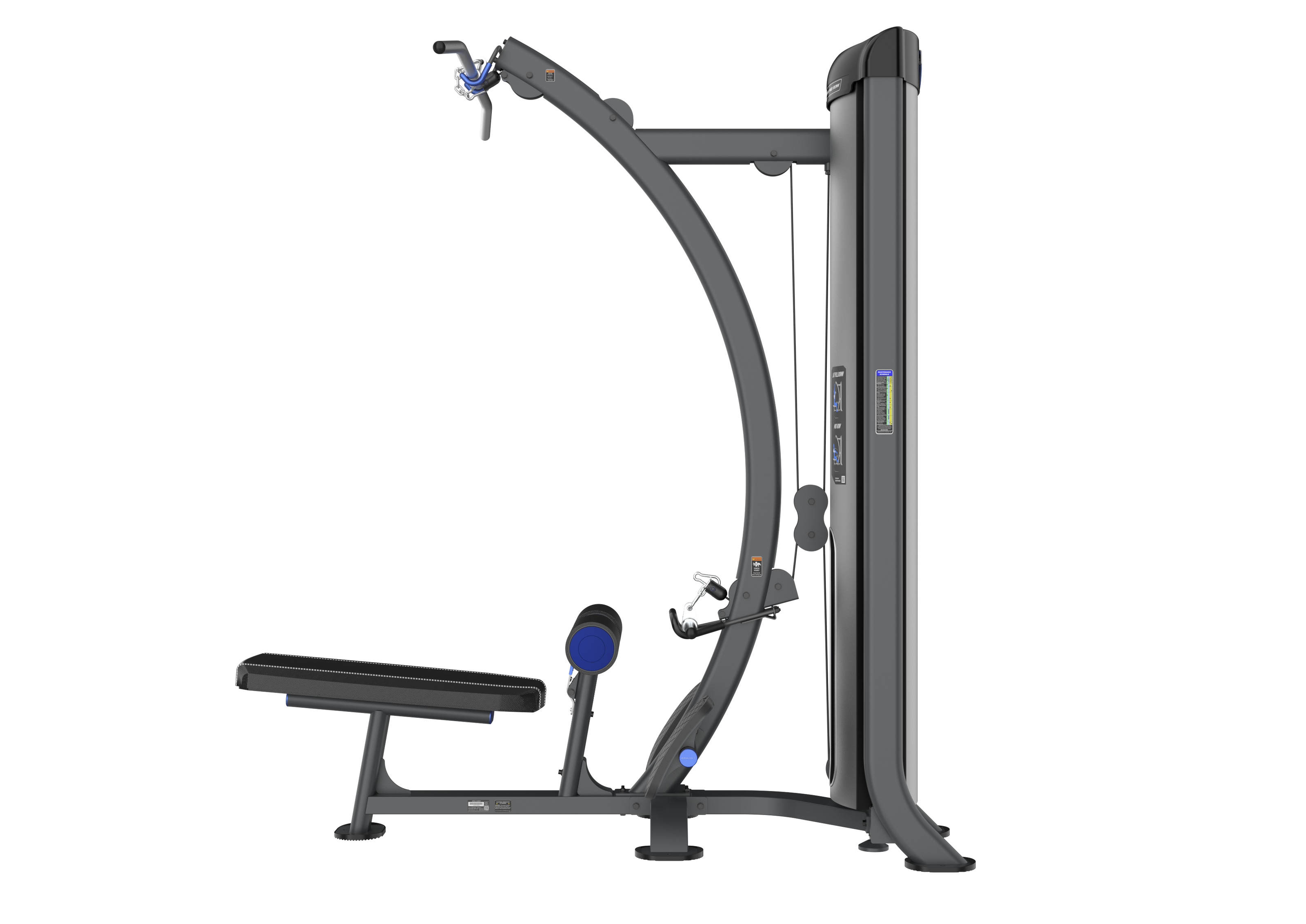 Lat Pulldown & Low Row