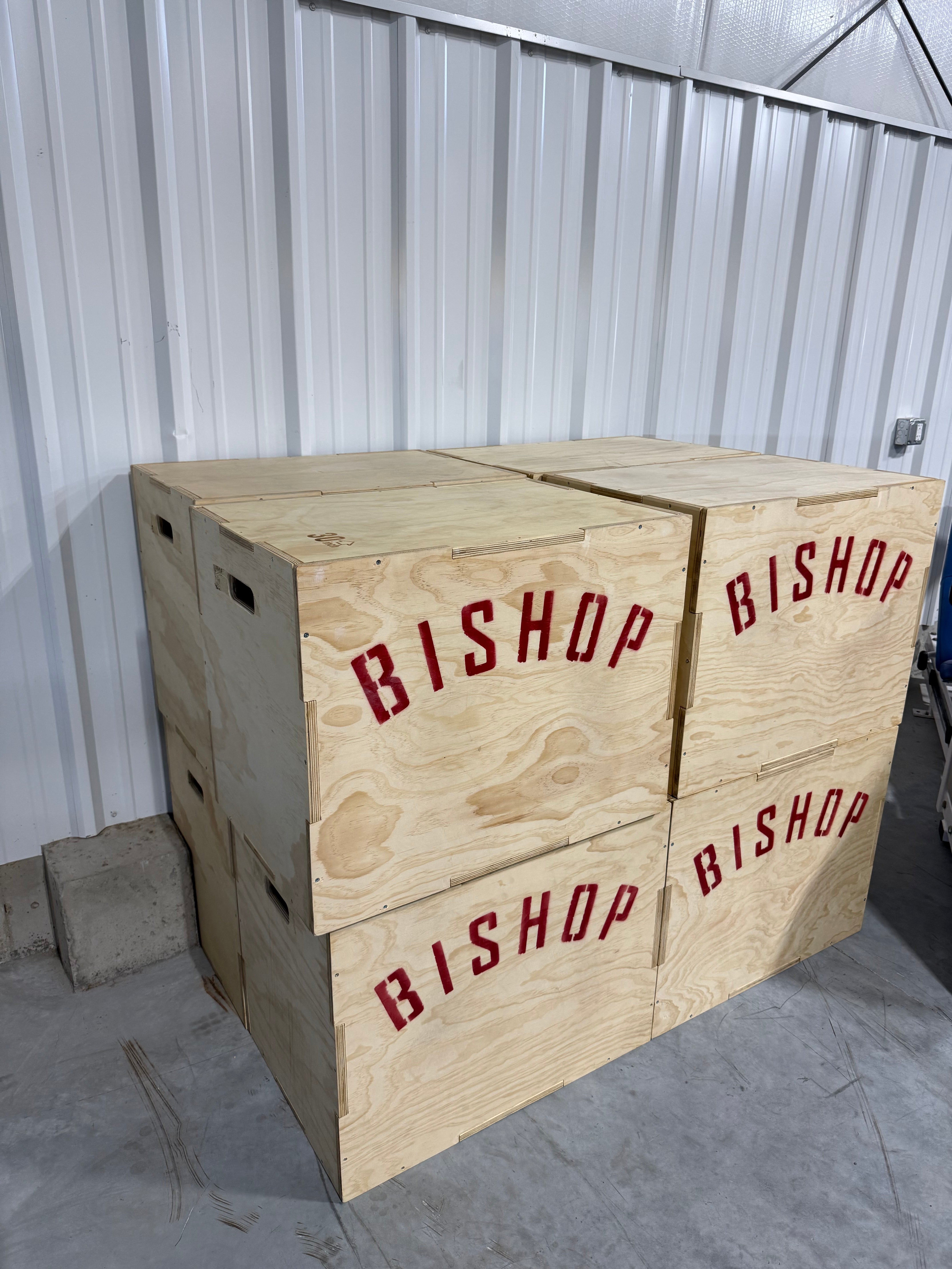 Multiple Sided Plyometric Boxes (Summit Games)