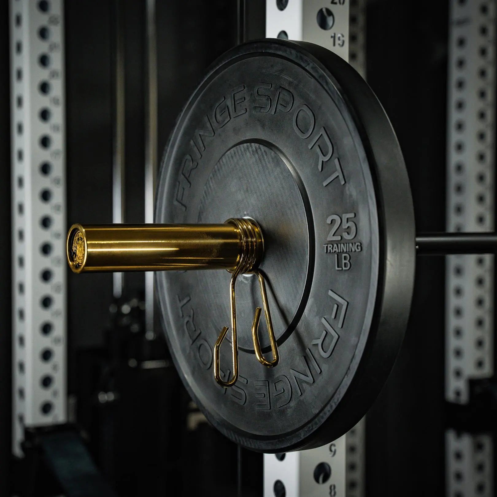 EZ Curl Bar Midas