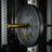 EZ Curl Bar Midas