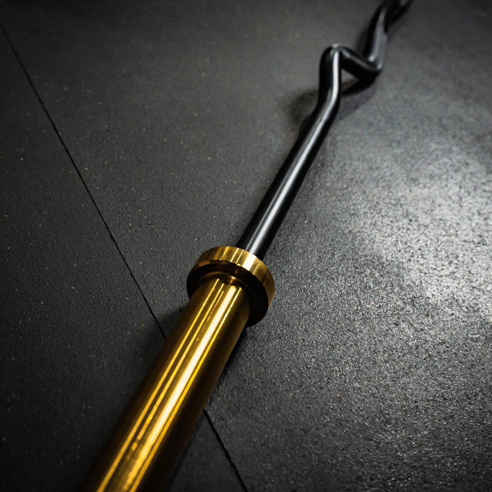 EZ Curl Bar Midas