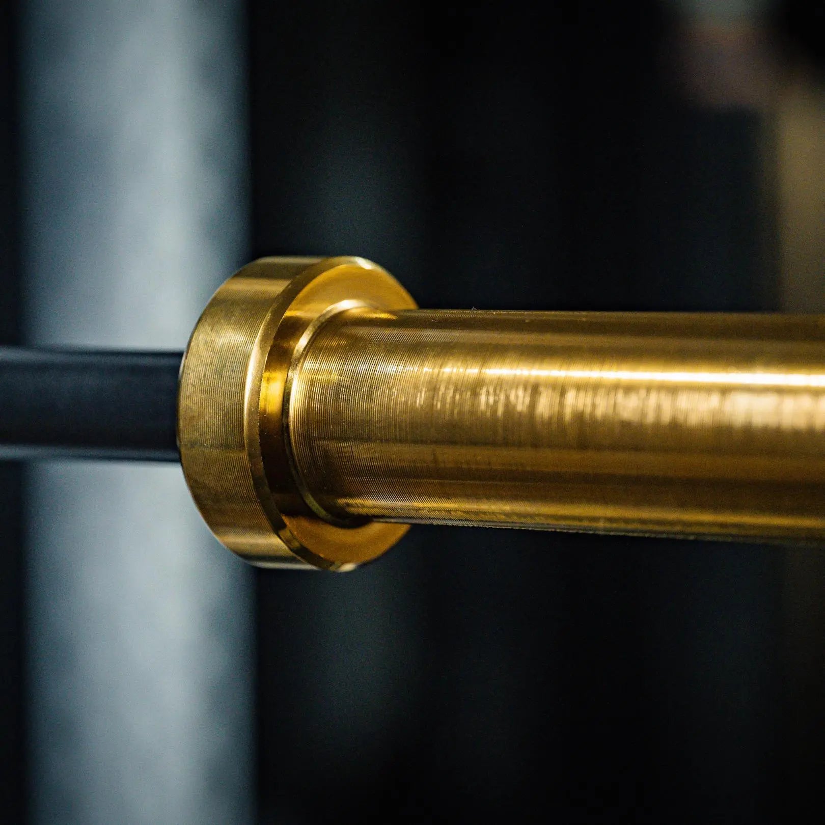 EZ Curl Bar Midas