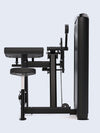Solitude Bicep / Tricep Machine