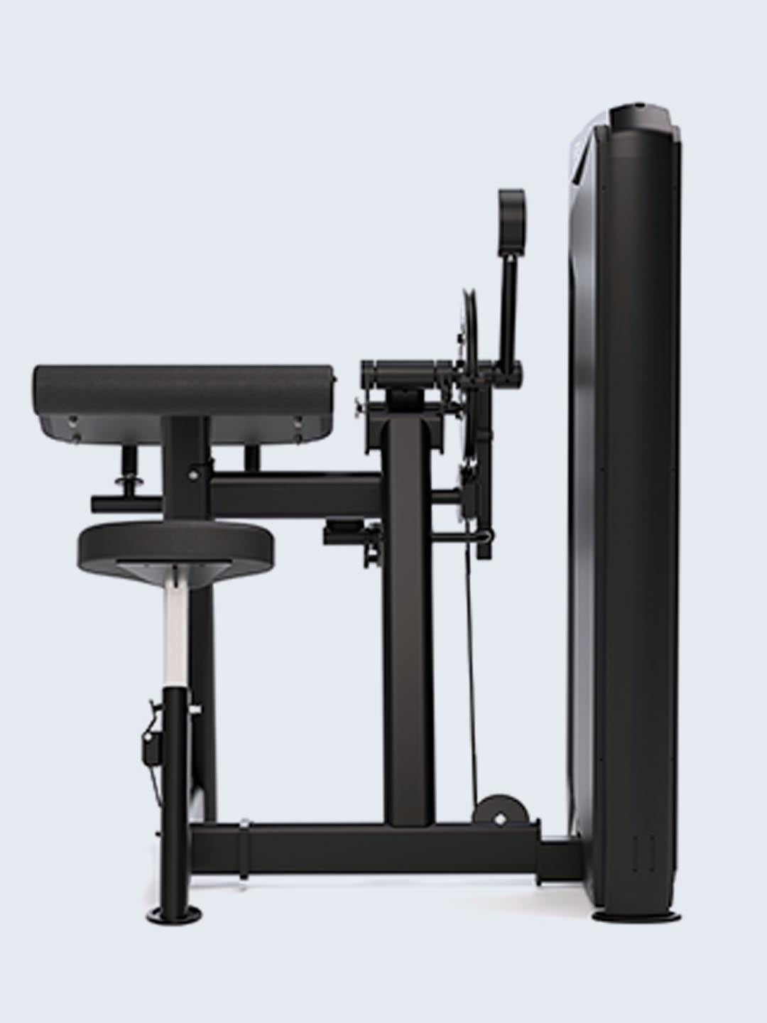 Solitude Bicep / Tricep Machine