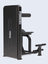 Solitude Abdominal / Back Extension Machine