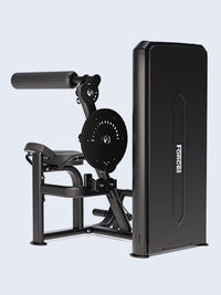 Solitude Abdominal / Back Extension Machine