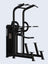 Solitude Assisted Chin-Up / Dip Machine