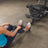 Body-Solid G5S Multi-Station Gym with Perfect Pec