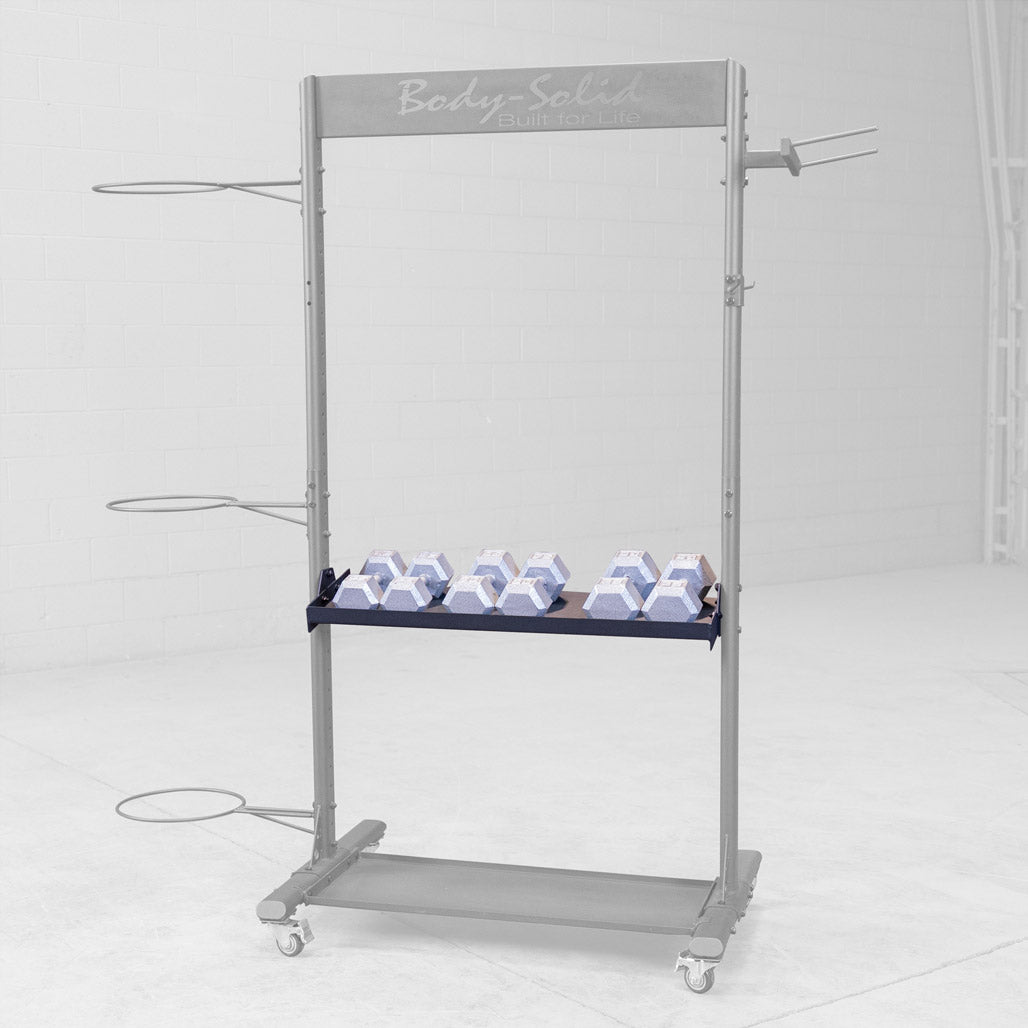 Body-Solid GARDB dumbbell rack installed
