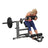 Body-Solid CAM Ab and Back Machine
