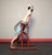 Body-Solid GINV50 inversion table inverted