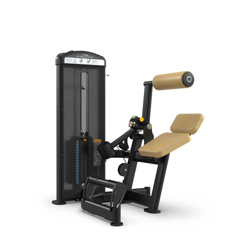 True Fitness FUSE-1300 Lower Back Extension Machine