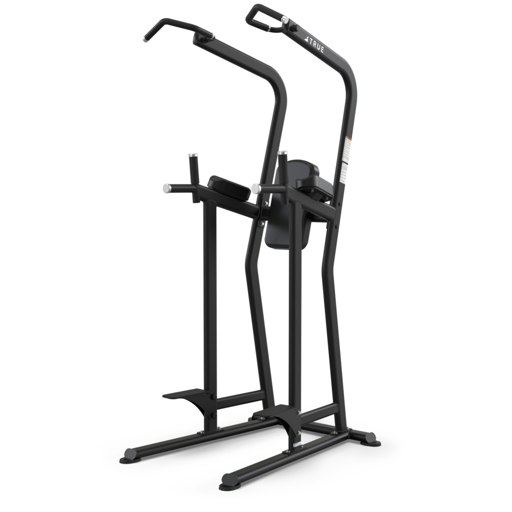 FS-23 Knee Raise/Dip/Chin Station
