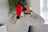 Power Plate Pulse
