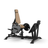 PLS–0800 Squat Press