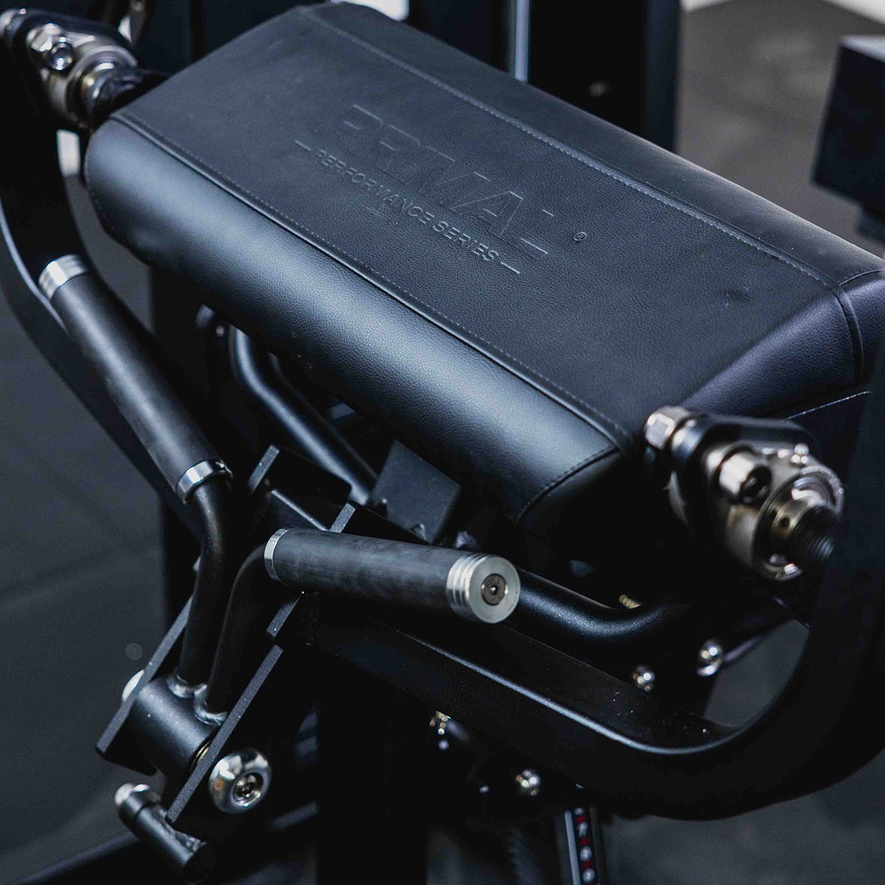 125kg Pin-Select - Bicep Curl