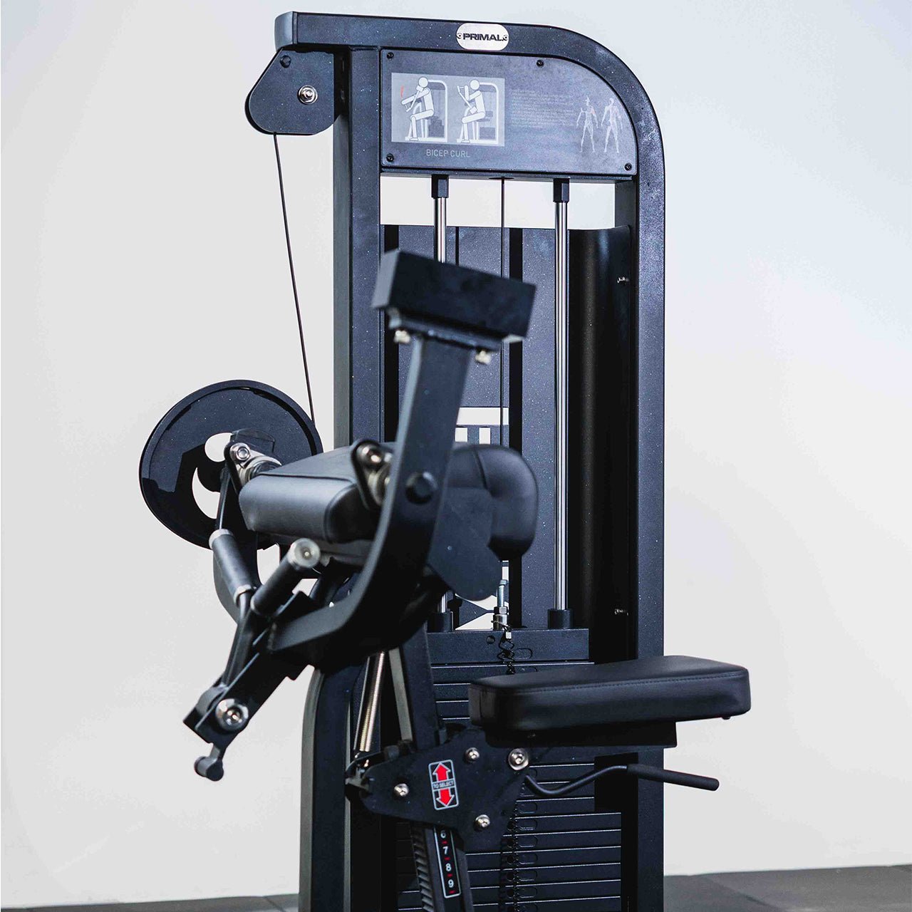 125kg Pin-Select - Bicep Curl