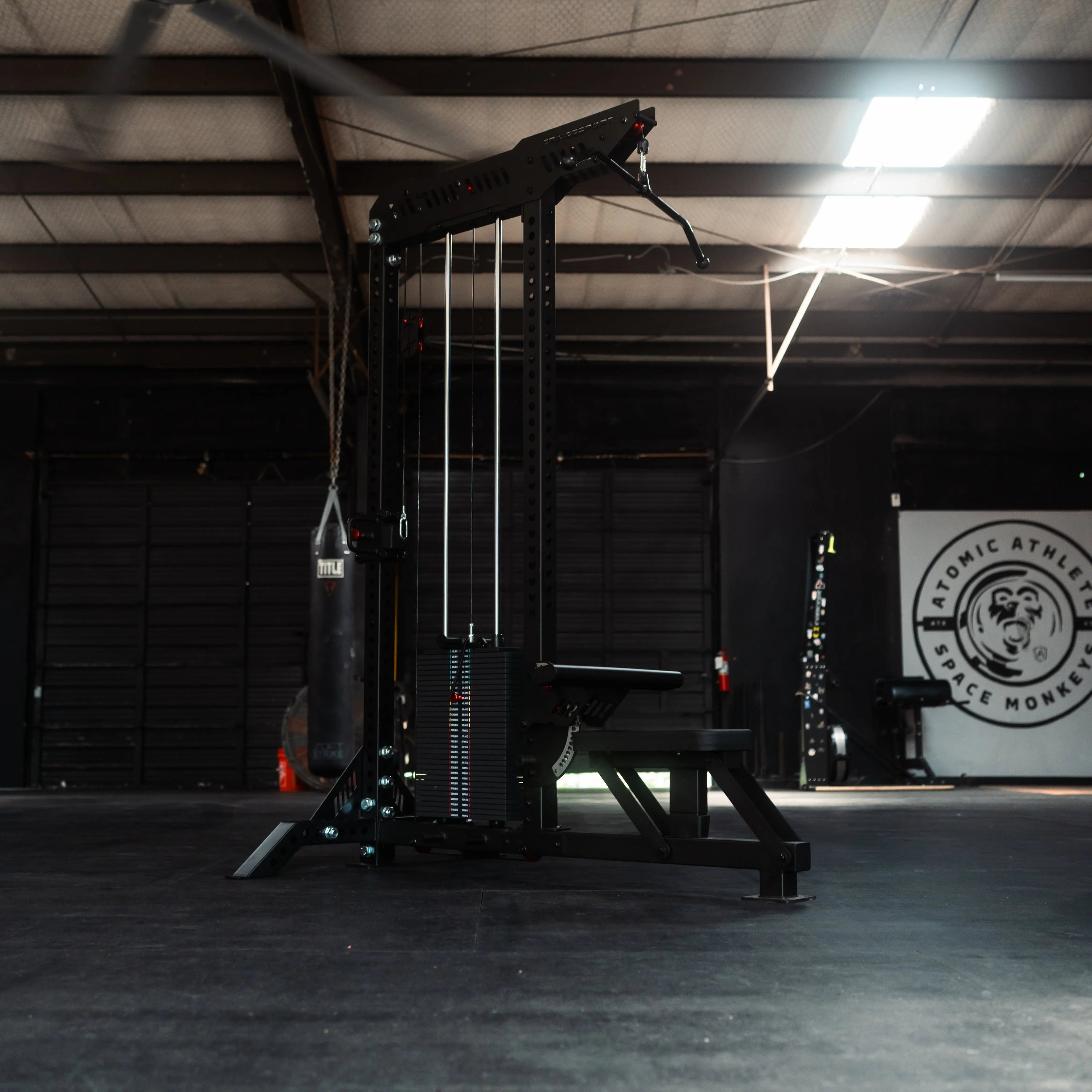 The Walrus: Single Tower Low Row & Lat Pulldown