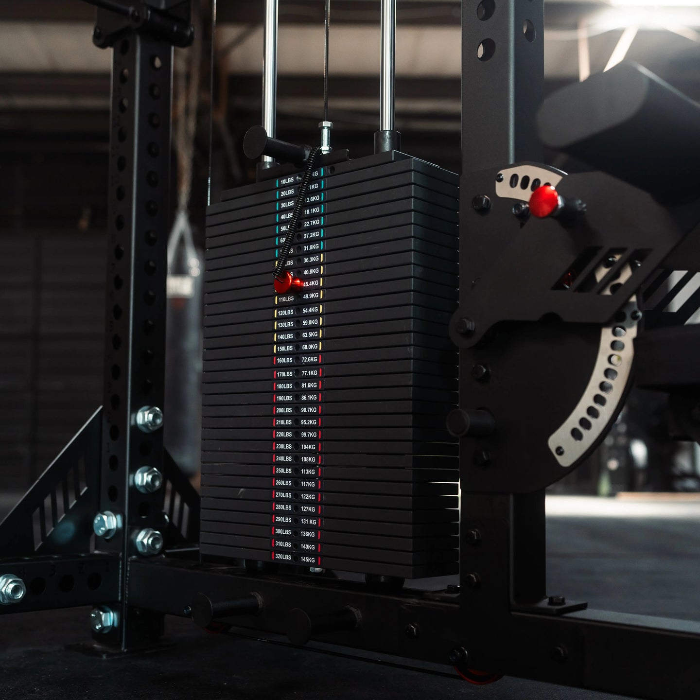 The Walrus: Single Tower Low Row & Lat Pulldown